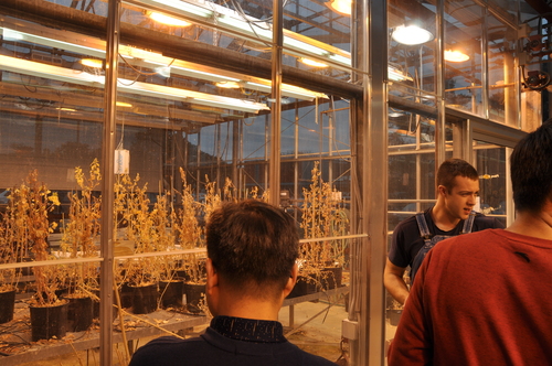 Austin Bruch gives tough of plant agriculture building to Chinese Delegates